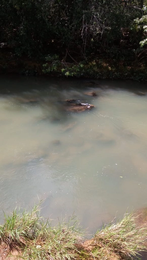 image_re_6774075.jpg