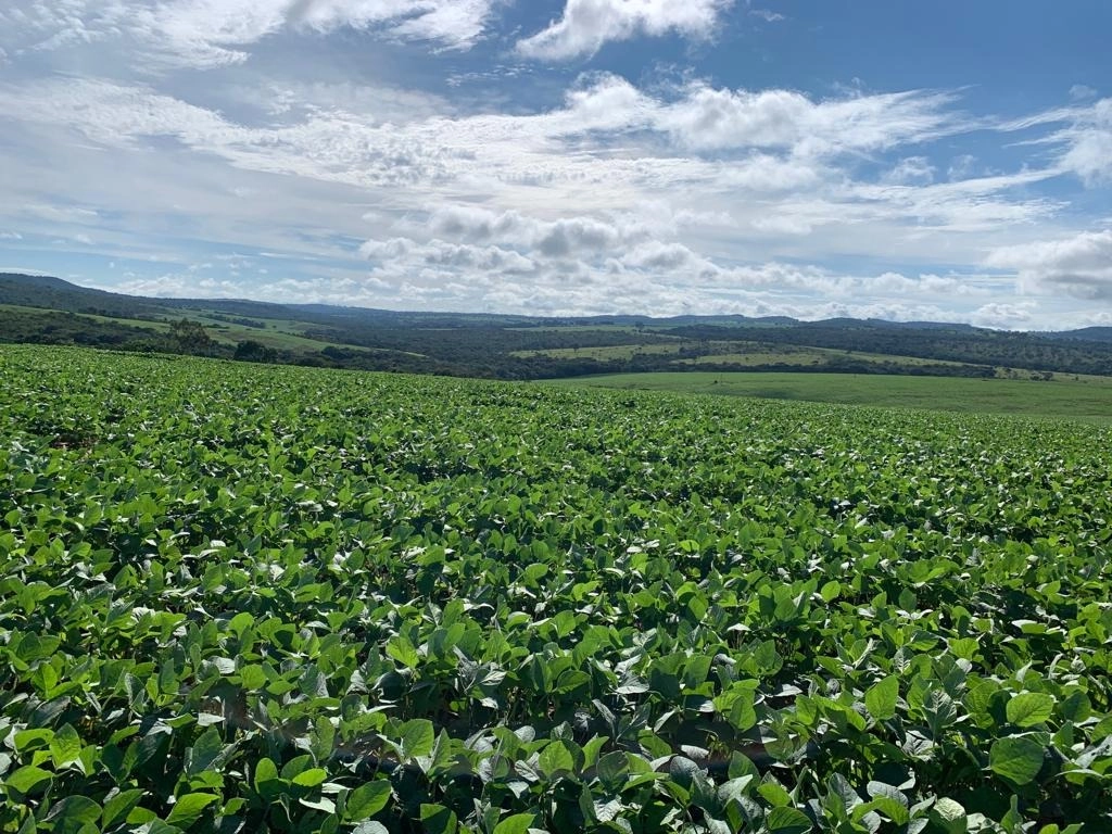 Fazenda/Sítios/Chácaras de 5510000m² no bairro Setor Central, em Rio Verde | Eu Corretor