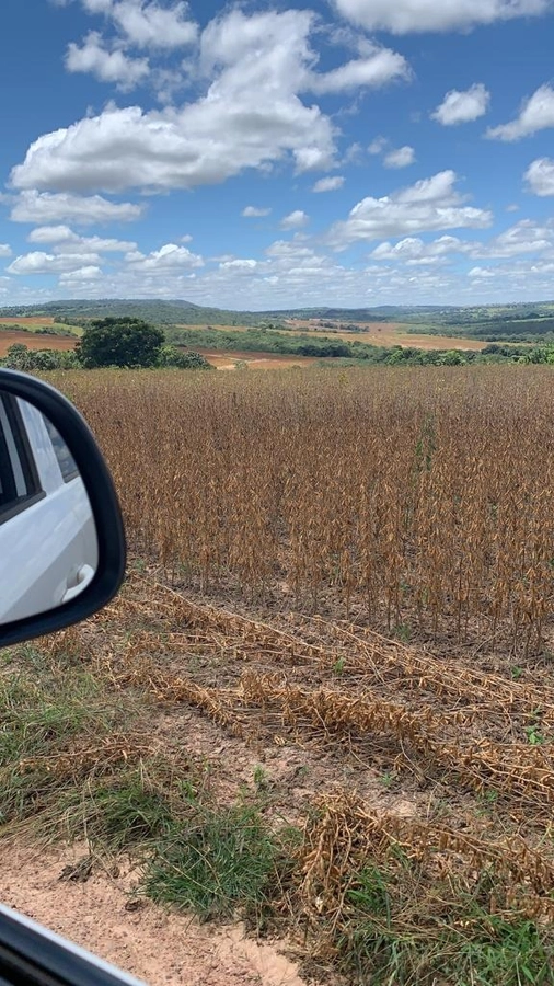 Fazenda/Sítios/Chácaras de 5510000m² no bairro Setor Central, em Rio Verde | Eu Corretor