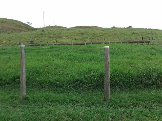 image_re_6774122.jpg