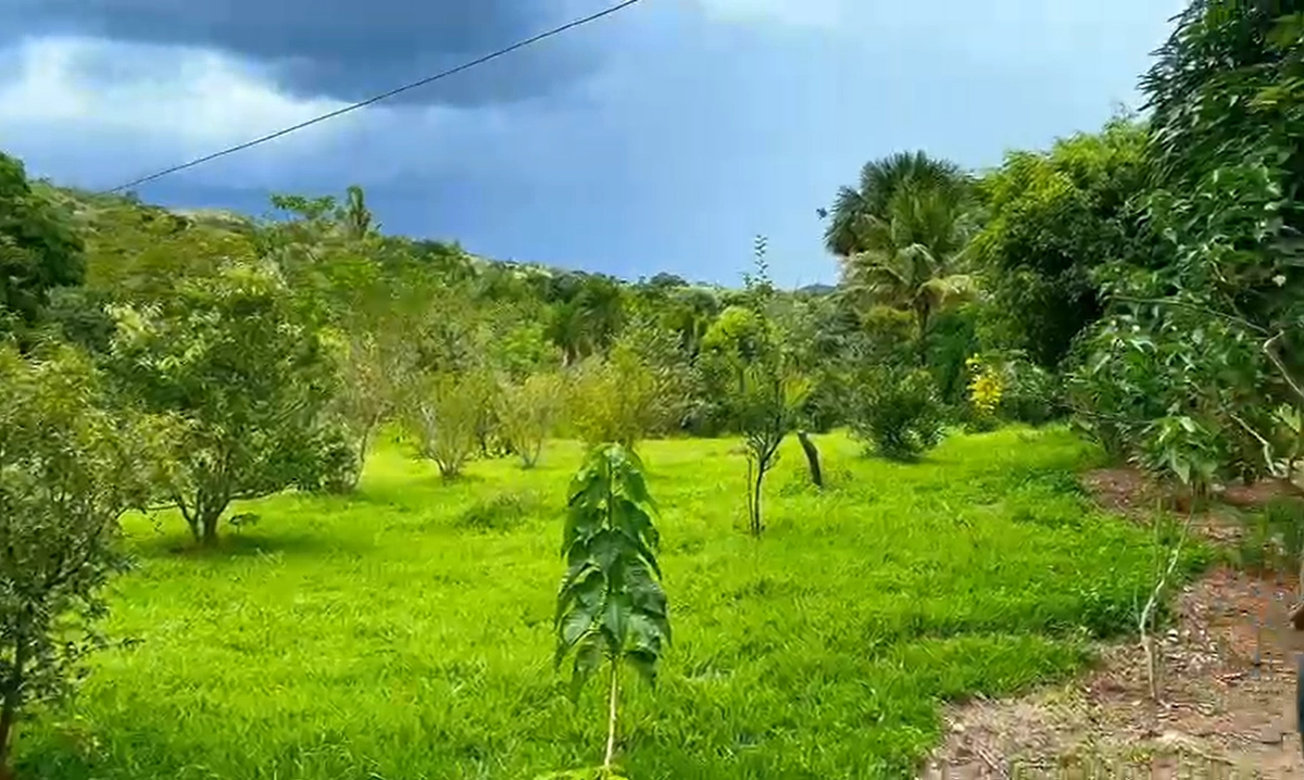 Fazenda/Sítios/Chácaras de 1548800m² no bairro Padre Bernardo, em Padre Bernardo | Eu Corretor