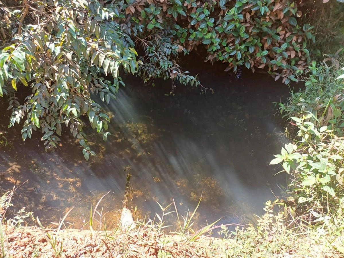 image_re_6774277.jpg