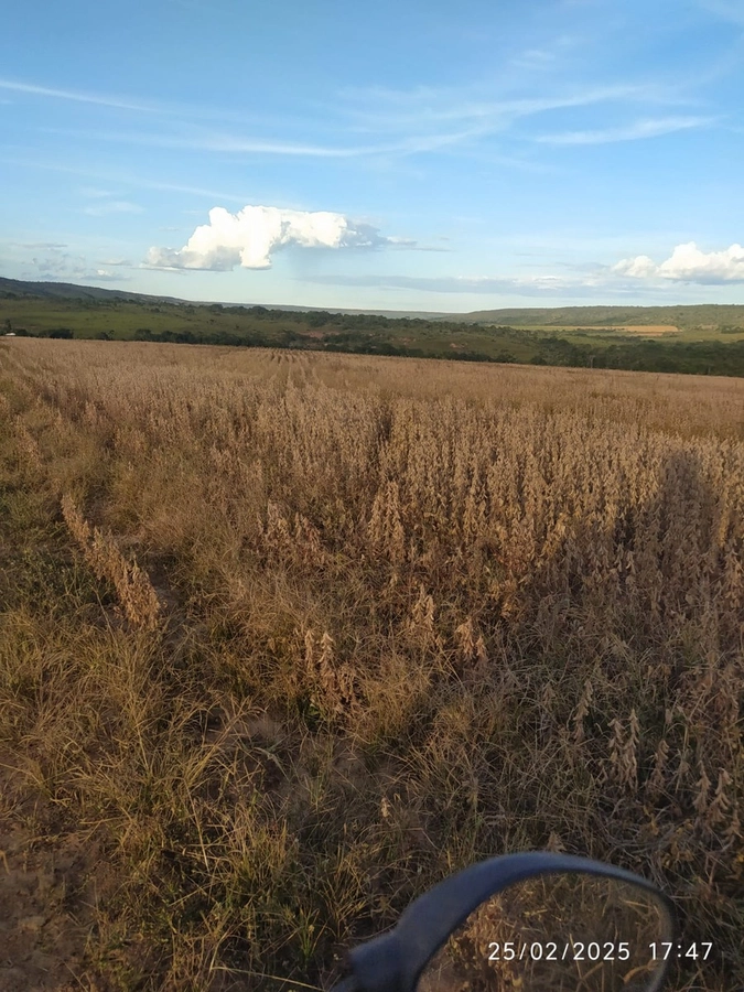 Fazenda/Sítios/Chácaras de 560000m² no bairro Não informado, em Buritis | Eu Corretor