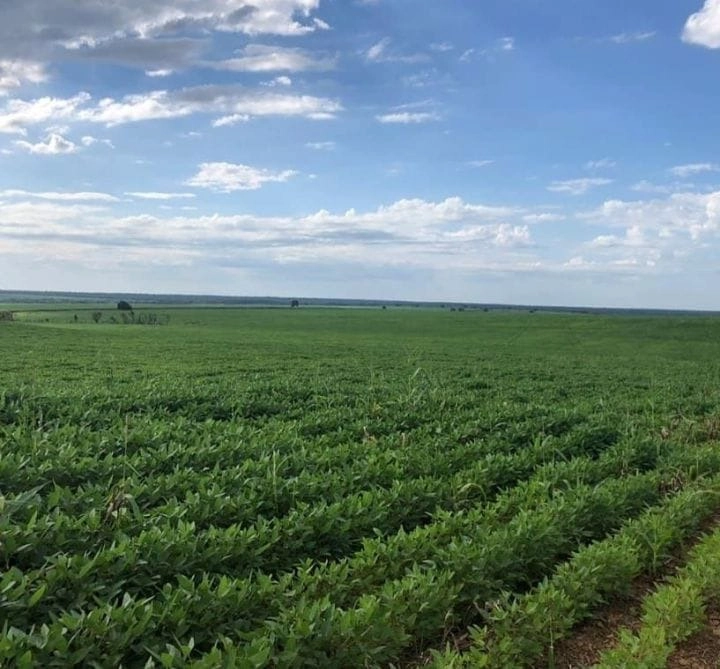 Fazenda/Sítios/Chácaras de 28300000m² no bairro Aurora do Tocantins, em Aurora do Tocantins | Eu Corretor