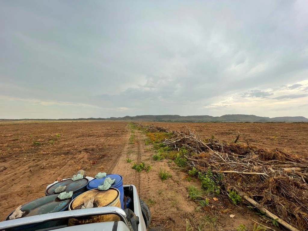 Fazenda/Sítios/Chácaras de 49120000m² no bairro Goiatins, em Goiatins | Eu Corretor