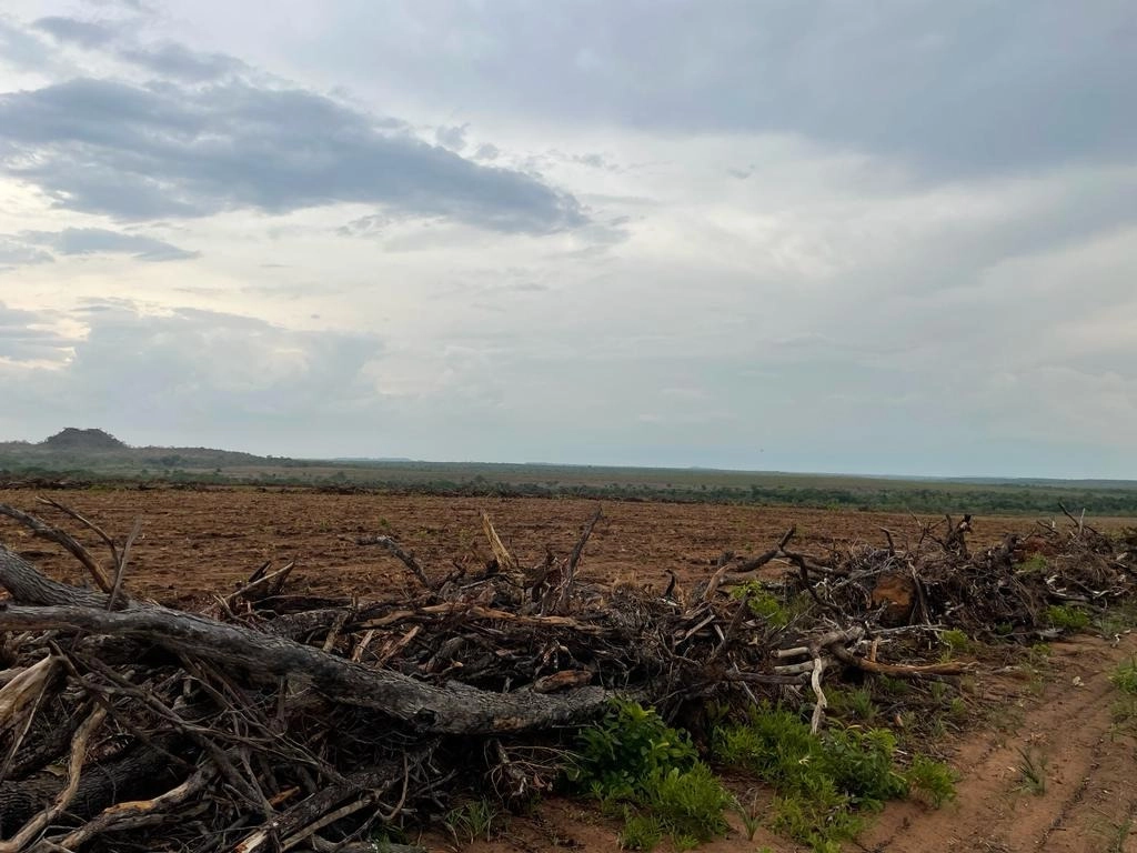 Fazenda/Sítios/Chácaras de 49120000m² no bairro Goiatins, em Goiatins | Eu Corretor