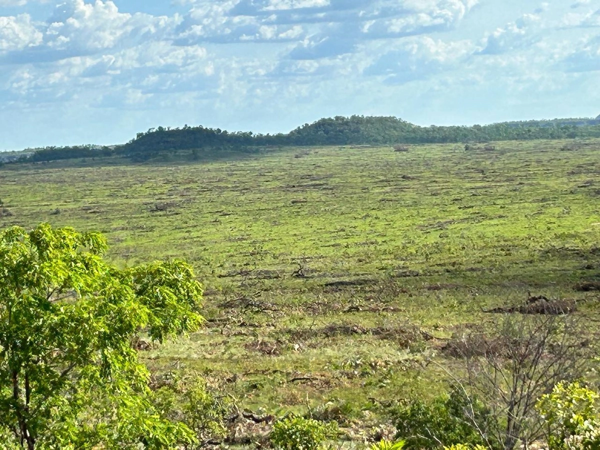 Fazenda/Sítios/Chácaras de 49120000m² no bairro Goiatins, em Goiatins | Eu Corretor