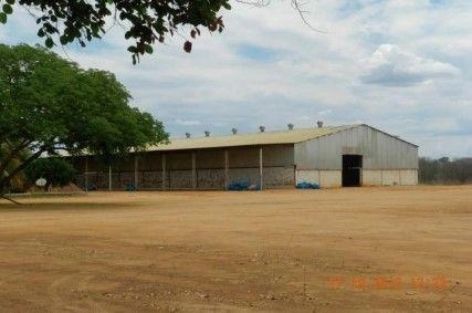 image_re_6774687.jpg