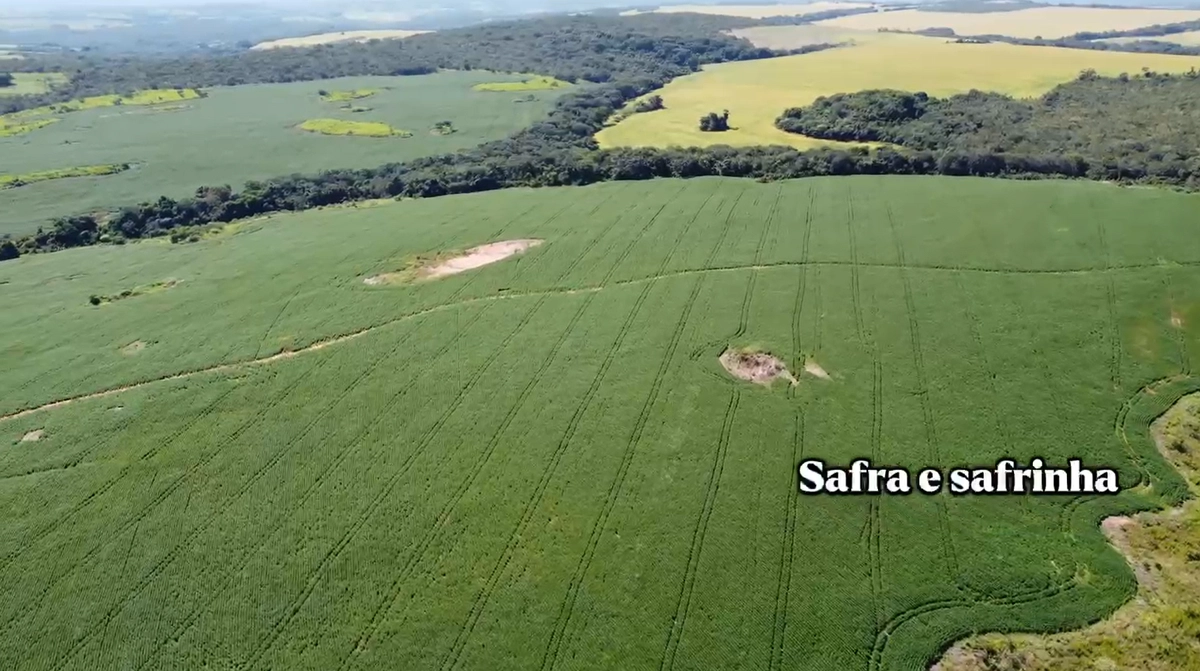 Fazenda/Sítios/Chácaras de 1610000m² no bairro Ipameri, em Ipameri | Eu Corretor