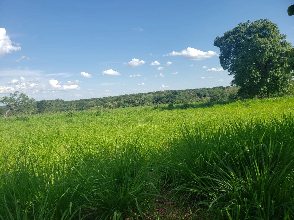Fazenda/Sítios/Chácaras de 3680000m² no bairro Primavera, em Unaí | Eu Corretor