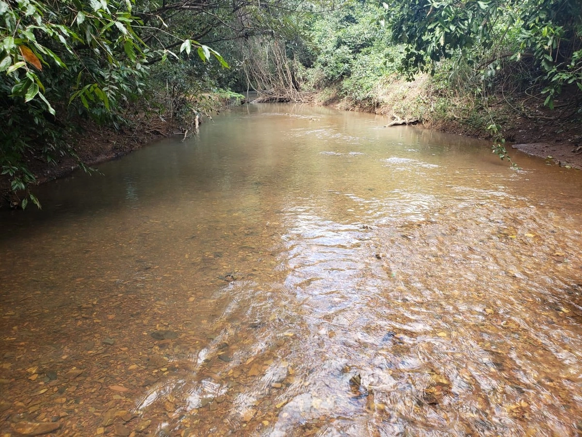 image_re_6774998.jpg