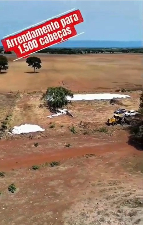 Fazenda/Sítios/Chácaras no bairro 800 hectares, em Formosa | Eu Corretor