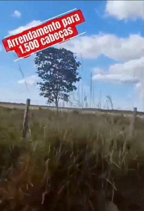 Fazenda/Sítios/Chácaras no bairro 800 hectares, em Formosa | Eu Corretor