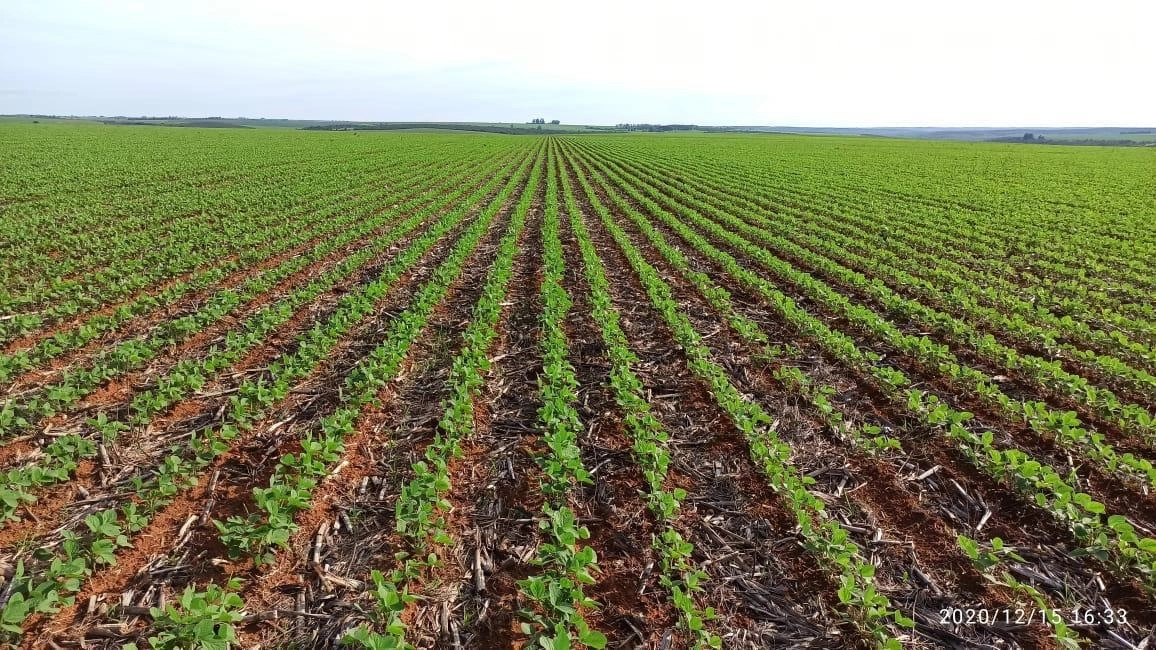 Fazenda/Sítios/Chácaras de 17230000m² no bairro Paracatu, em Paracatu | Eu Corretor