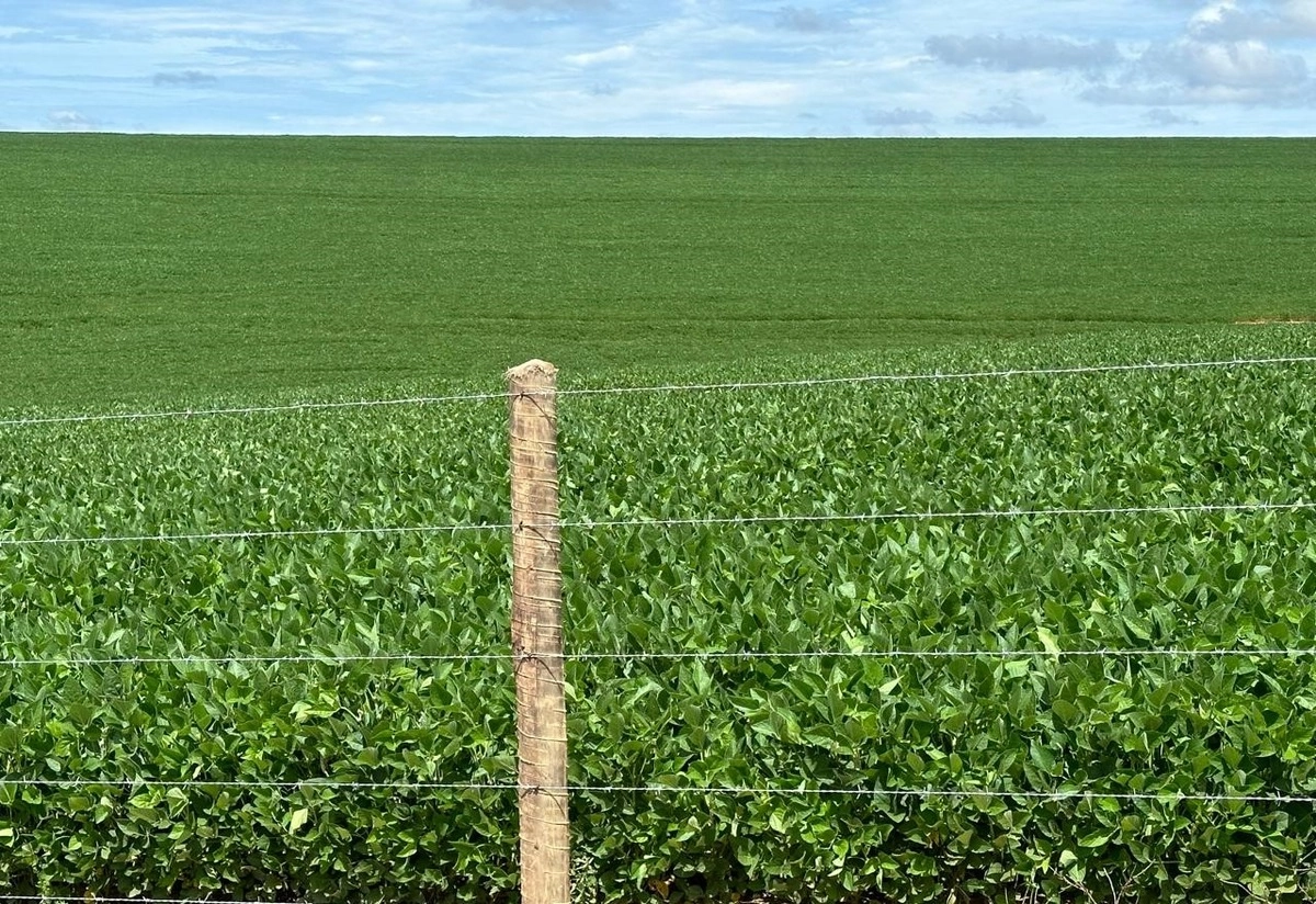Fazenda/Sítios/Chácaras de 7980000m² no bairro Vila Santa Maria, em Ipameri | Eu Corretor