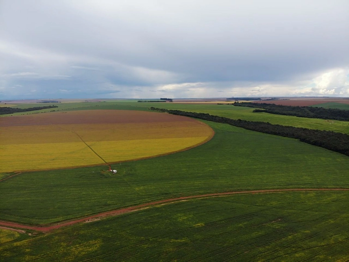 Fazenda/Sítios/Chácaras no bairro 664 hectares - Com pivôs, em Unaí | Eu Corretor