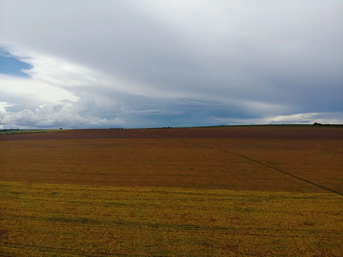 image_re_6775130.jpg