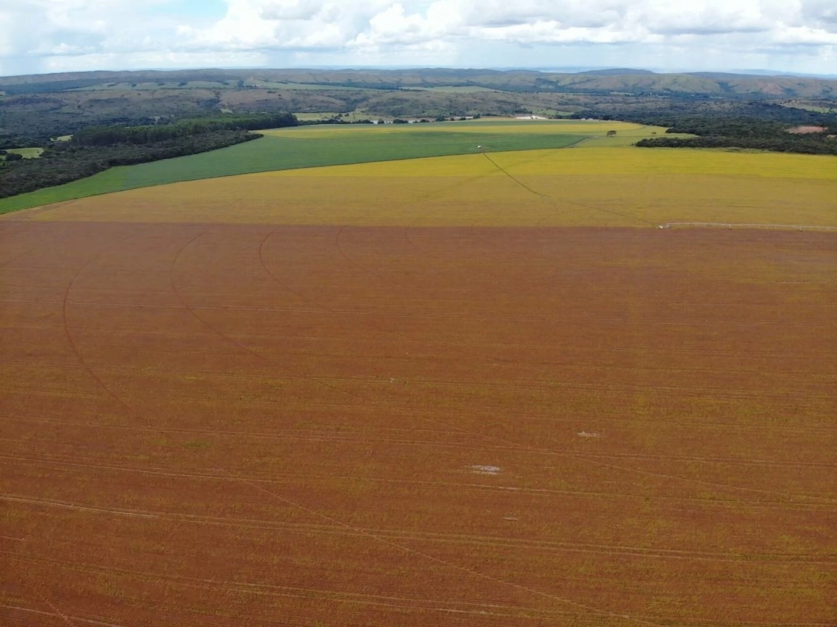 Fazenda/Sítios/Chácaras no bairro 664 hectares - Com pivôs, em Unaí | Eu Corretor