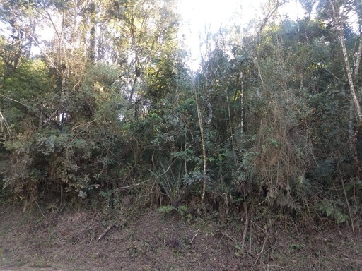 Chácara de 4000m² no bairro campininhas, em Quatro Barras | Eu Corretor