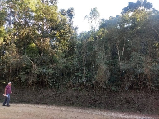 Chácara de 4000m² no bairro campininhas, em Quatro Barras | Eu Corretor