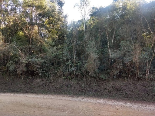 Chácara de 4000m² no bairro campininhas, em Quatro Barras | Eu Corretor