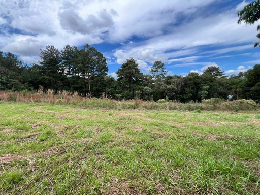Lote/Terreno de 1270m² no bairro Canguiri, em Colombo | Eu Corretor