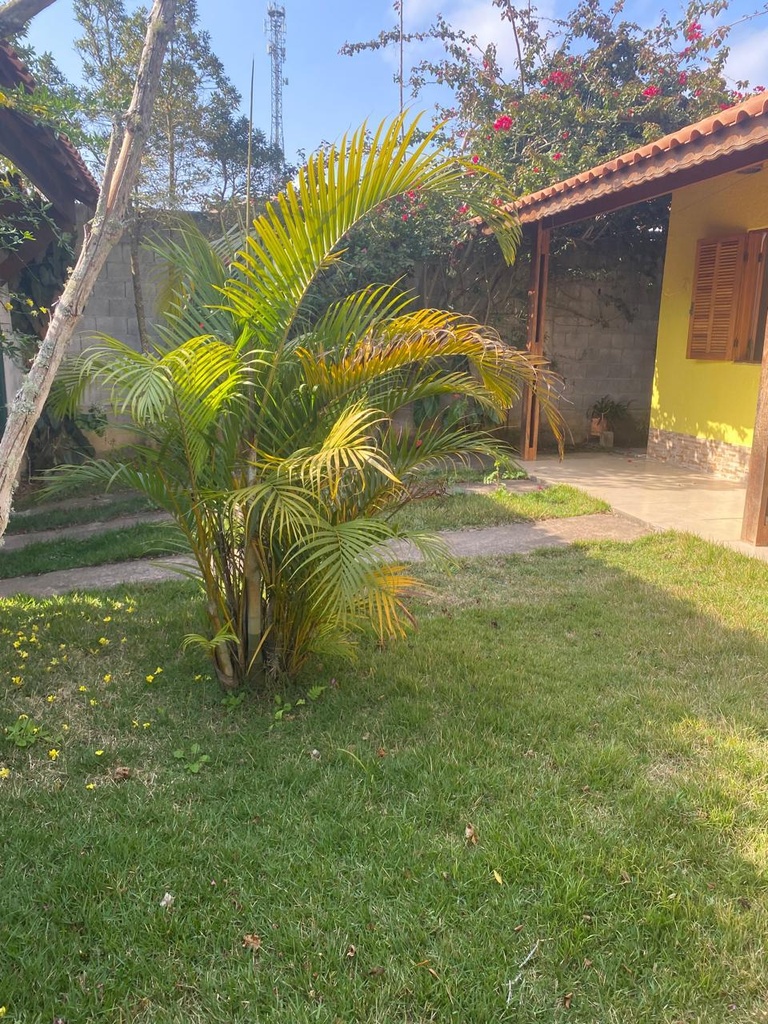 49736.jpg