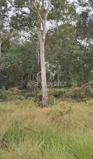 Fazenda/Sítios/Chácaras de 80m² no bairro Rural, em Cáceres | Eu Corretor