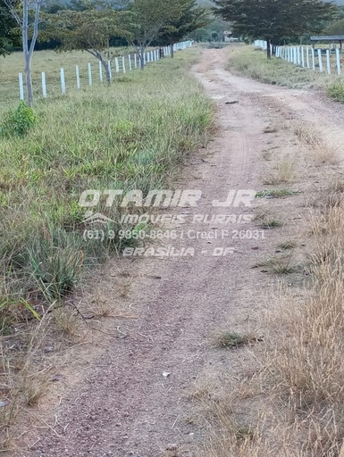 Fazenda/Sítios/Chácaras no bairro 250,88 hectares, em Vila Propício | Eu Corretor