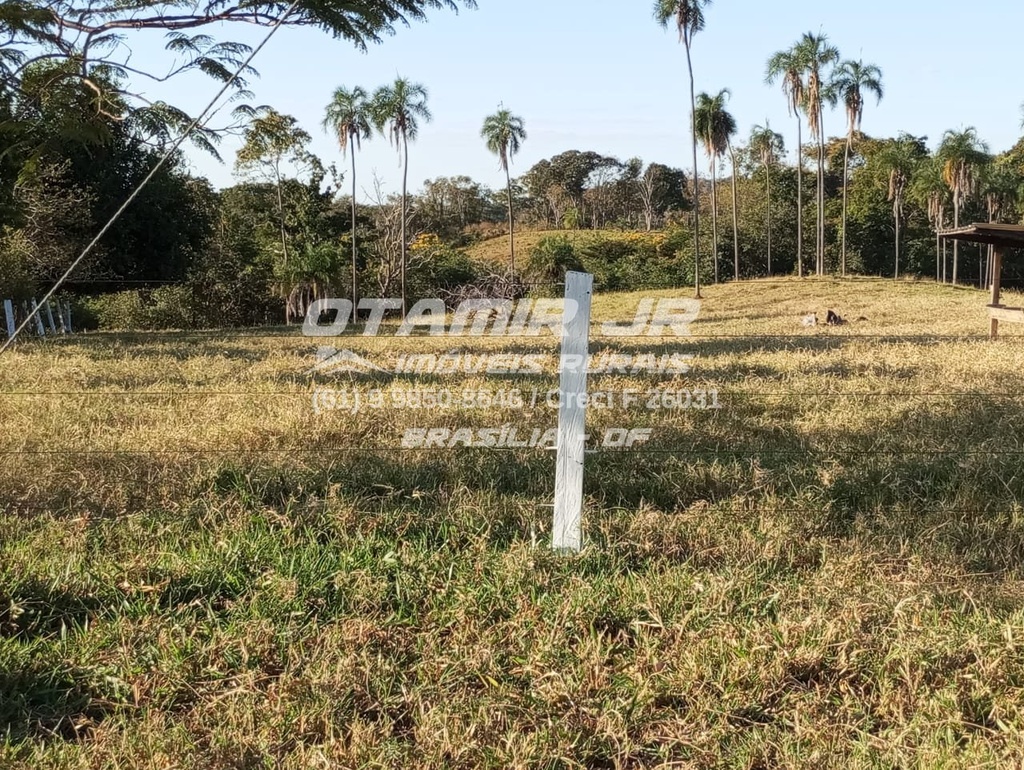WhatsApp Image 2026-05-04 at 08.58.37 (1).jpeg