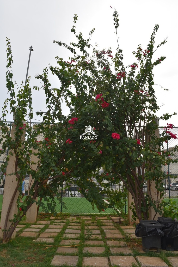 image_re_8623993.jpg