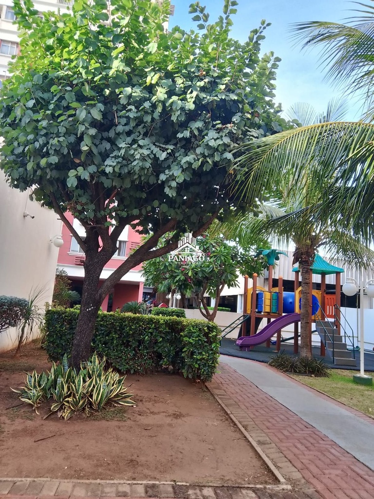 image_re_8624722.jpg