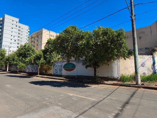 Lote/Terreno de 300m² no bairro Vila Rica , em Passos | Eu Corretor