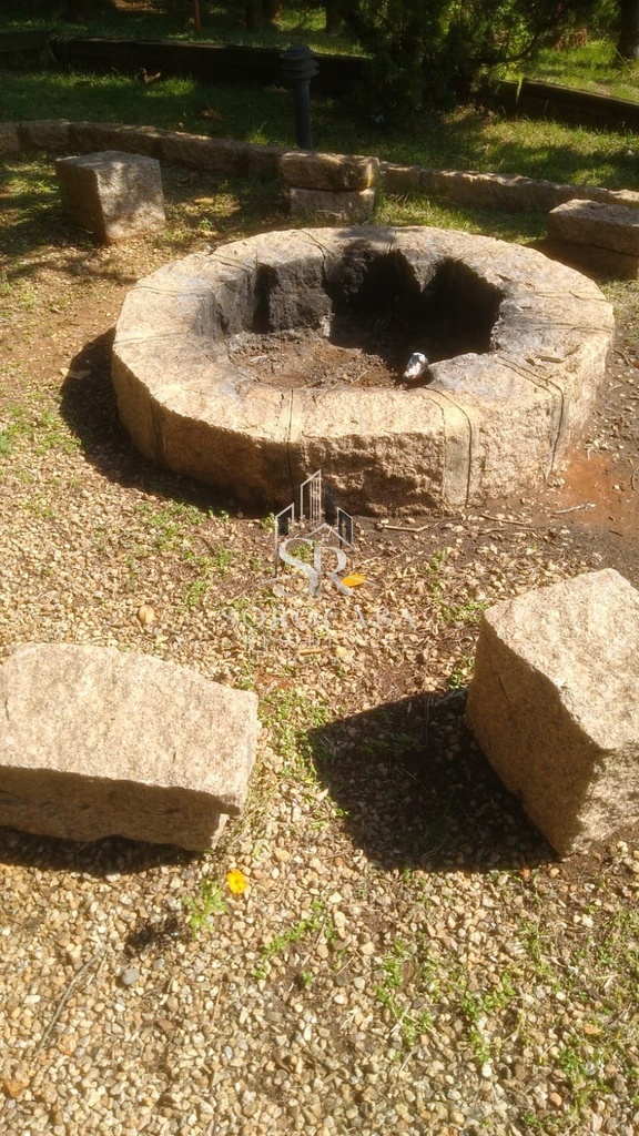 foto7.jpg