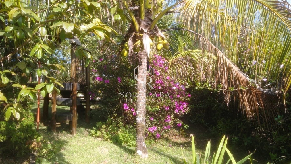 foto8.jpg