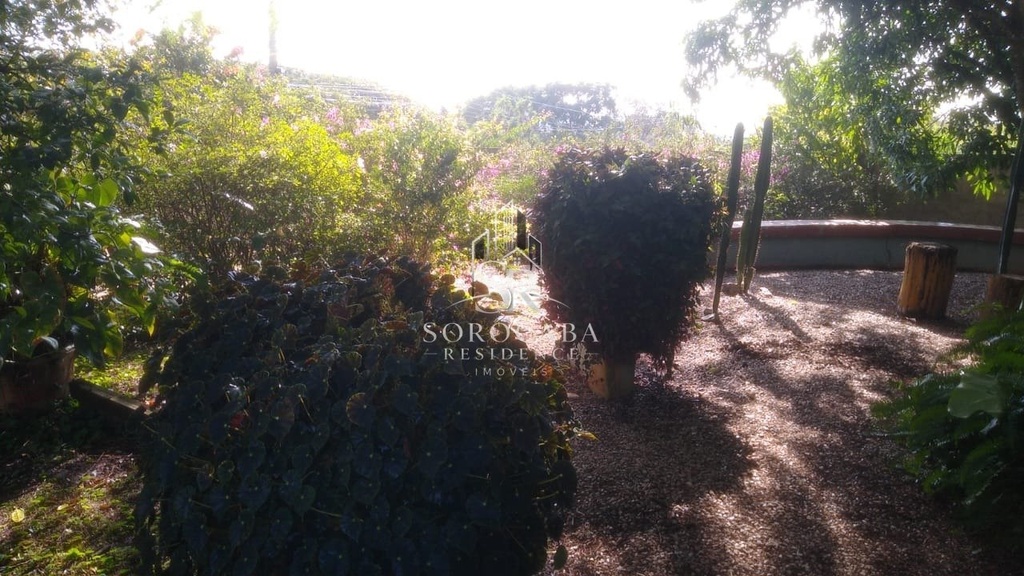 foto10.jpg