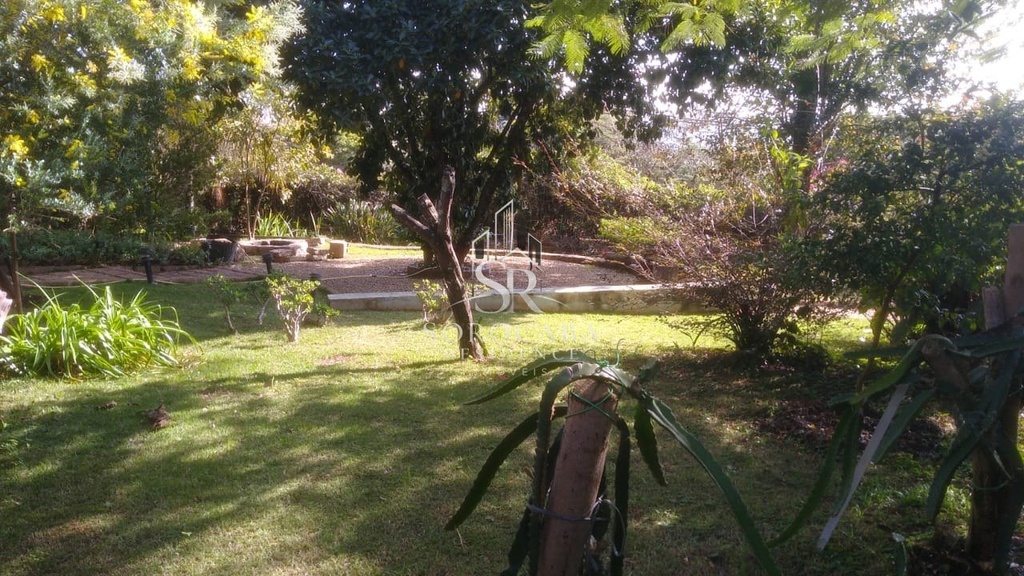 foto11.jpg
