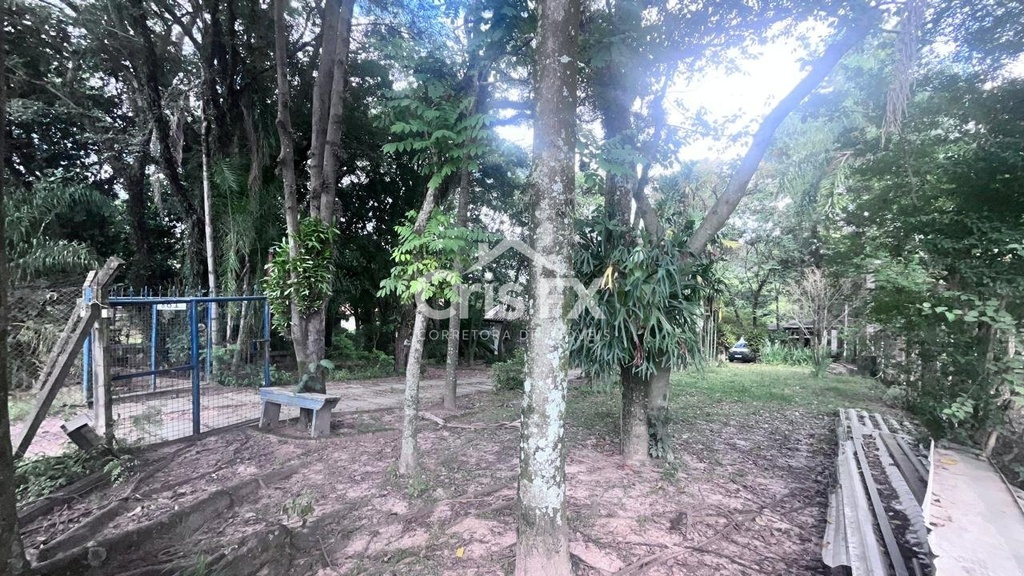 bosque.jpeg