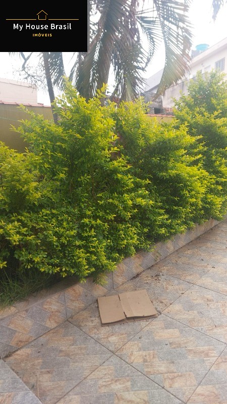 image_re_8995266.jpg