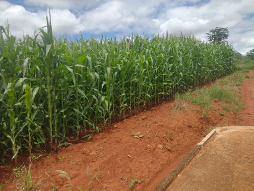 Fazenda/Sítios/Chácaras de 48400m² no bairro Congônhas, em Jacutinga | Eu Corretor