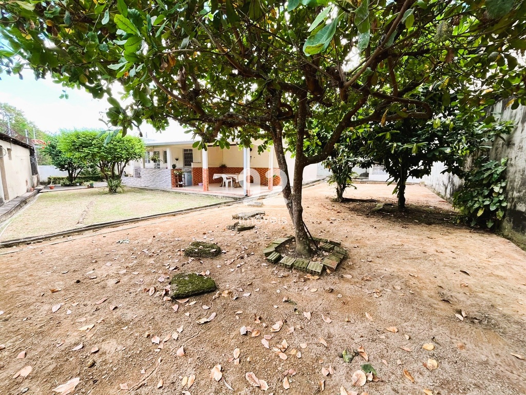 Quintal 2.JPG