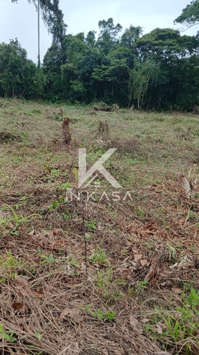 Loteamento de 4619m² no bairro Albatroz, em Matinhos | Eu Corretor