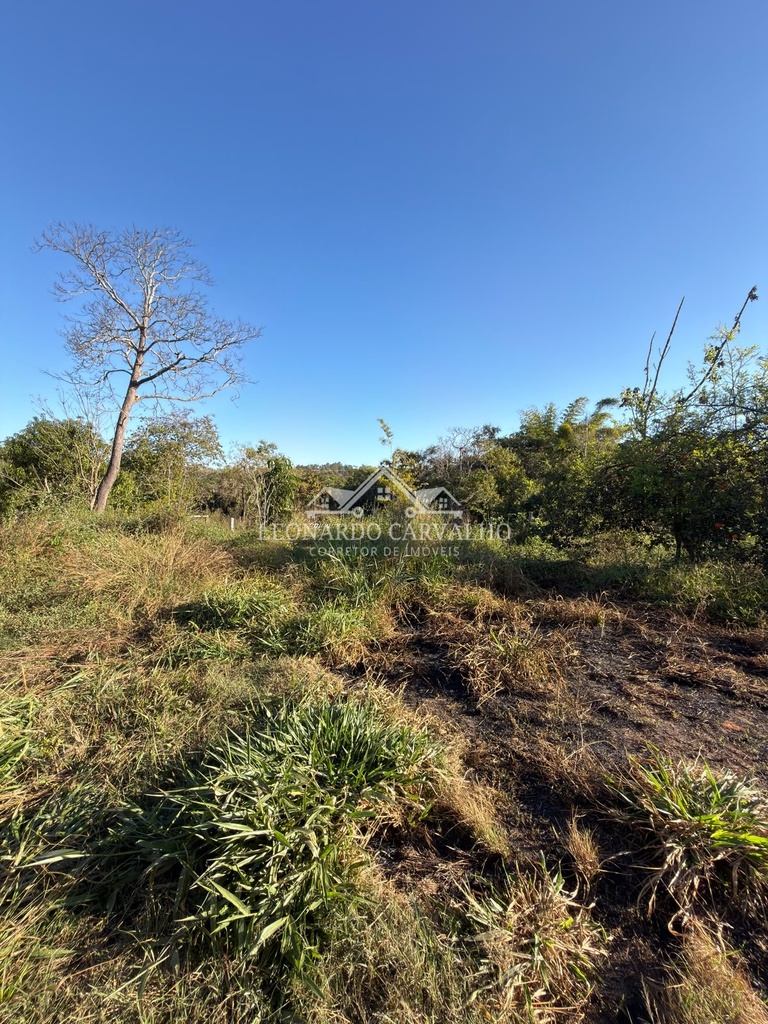 WhatsApp Image 2026-07-18 at 10.03.05 (19).jpeg